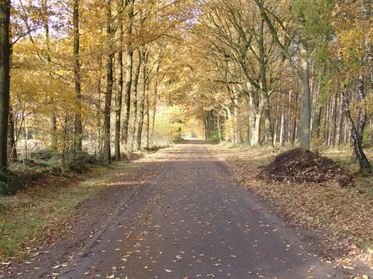 Rad- und Wandertouren im schönen Münsterland