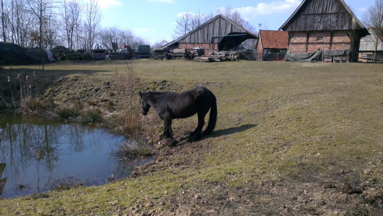 In ruhiger erholsamer Natur