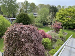 Blick nach links in die Gärten