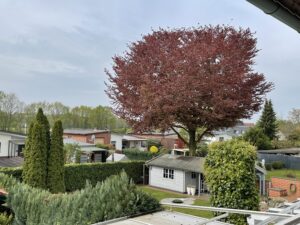 Blick nach rechts in die Gärten